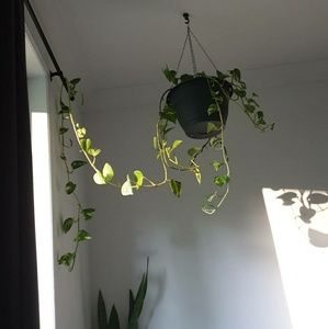 Meet your Posher, Isabella